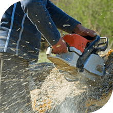 CRM and business management software for tree service contractors